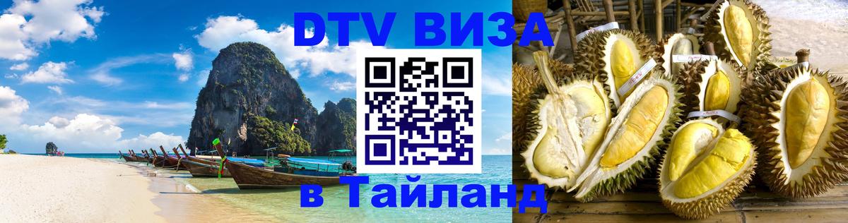 Оформление DTV визы под ключ: стоимость и тарифы, только загранпаспорт - 21.11.2025 